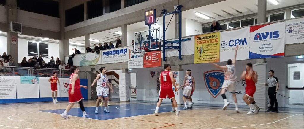 Vasto Basket