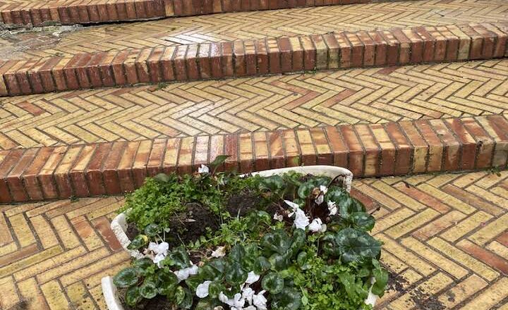 Loggia Amblingh, vandali in azione. Prese di mira le fioriere