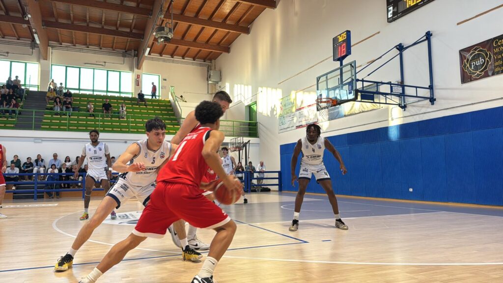 Vasto Basket