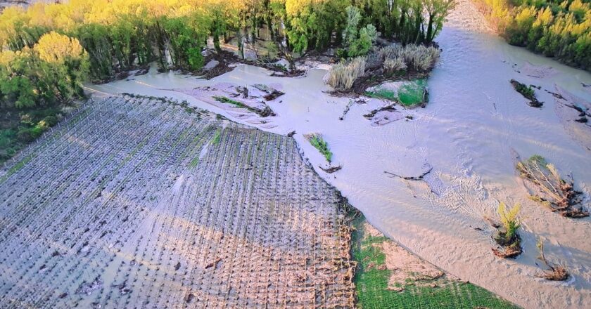 Maltempo, al via la conta dei danni: CIA, segnalazioni diffuse in tutta la regione, agricoltura in forte sofferenza