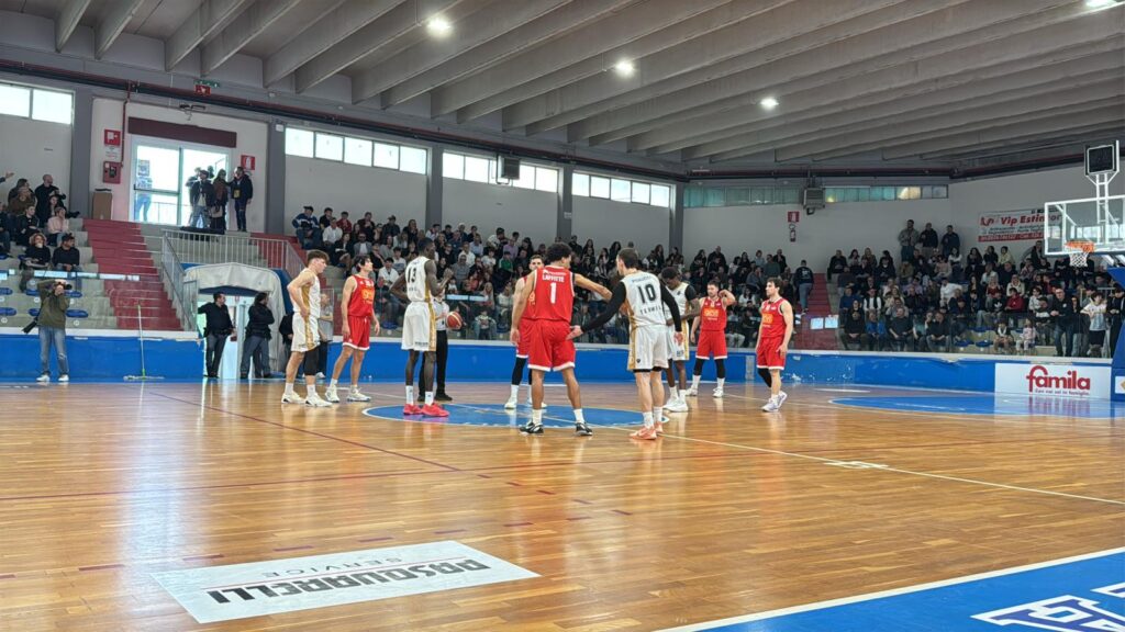 Vasto Basket
