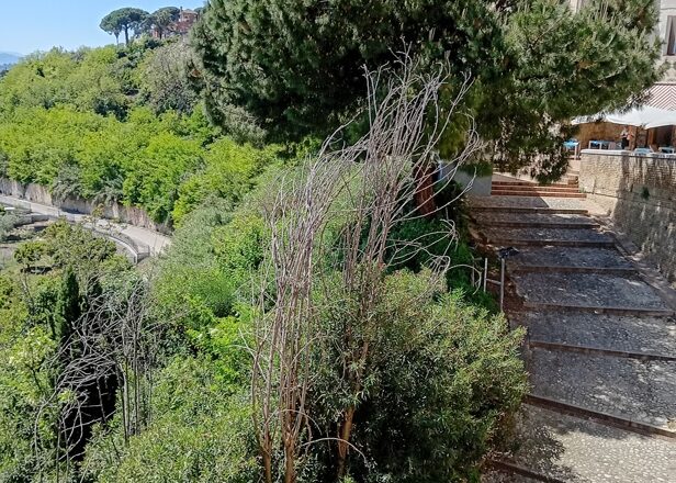Nicola D’Adamo (noivastesi.it) sulla Loggia Amblingh: “L’area verde sotto casa Rossetti è in condizioni pietose da 20 anni”