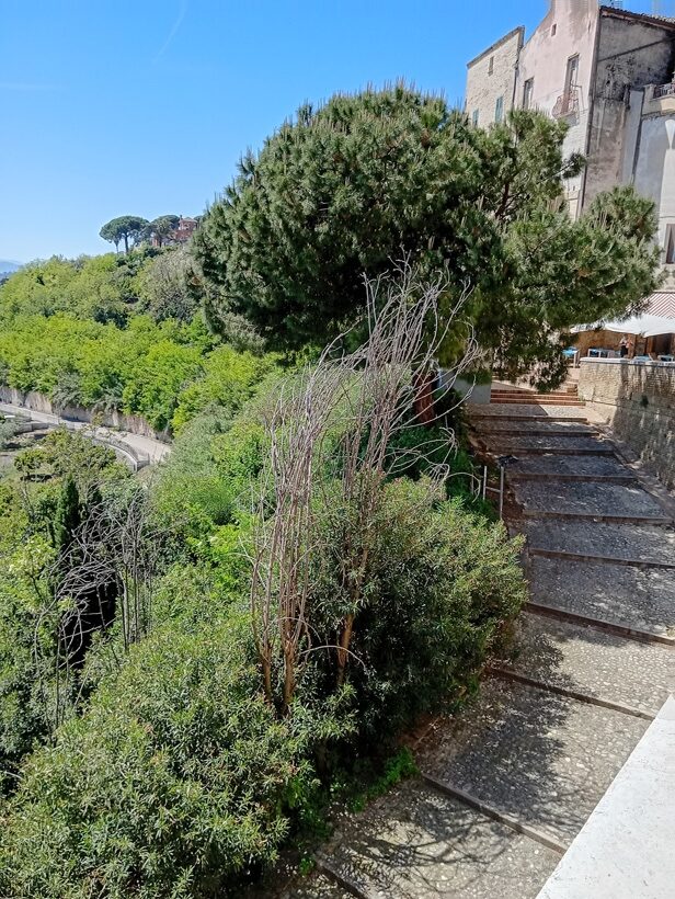 Area Verde Loggia Amblingh