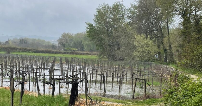 Dissesto idrogeologico, in memoriam dei Consorzi di Bonifica e pro memoria per i politici