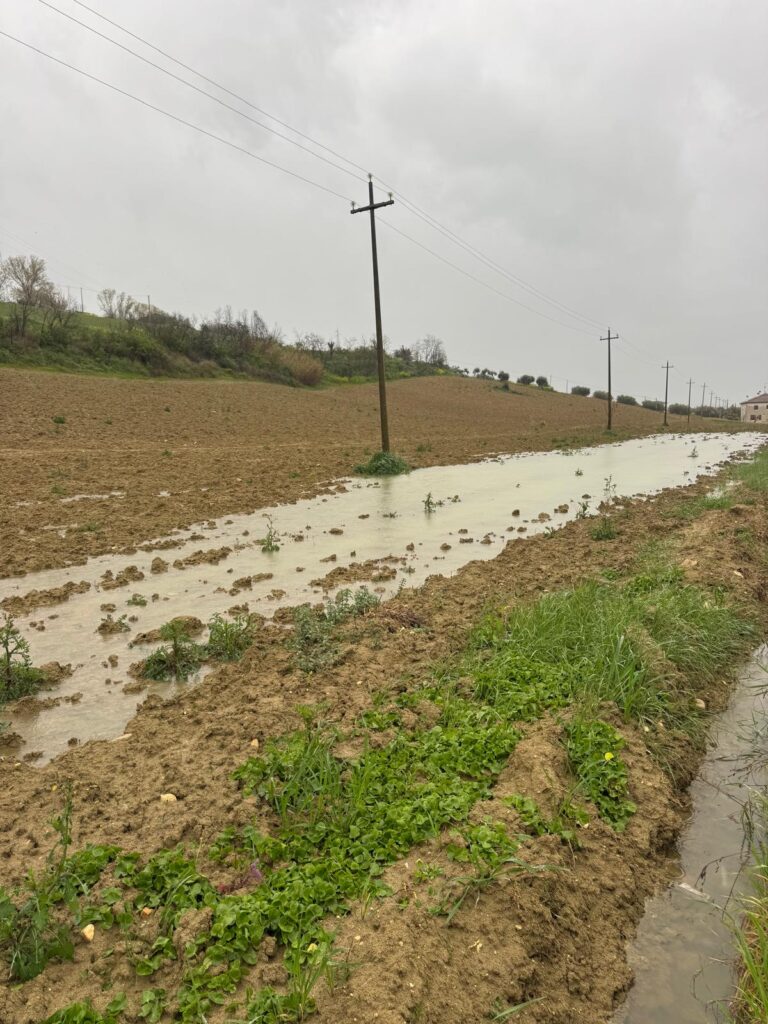 maltempo, allagamenti