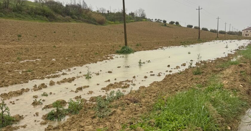 CIA Chieti Pescara: agricoltura a rischio collasso tra maltempo, gelate e allagamenti