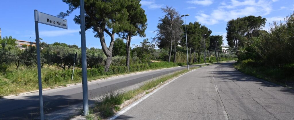 Via Mario Molino