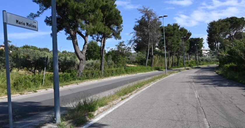 Firme per il sì ad una ciclabile in Via Mario Molino