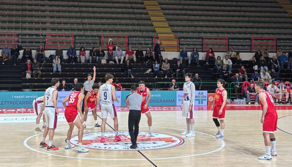 Vasto Basket