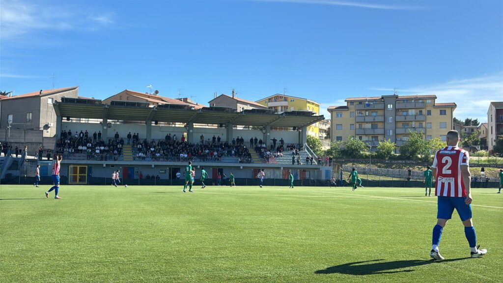 Virtus Cupello