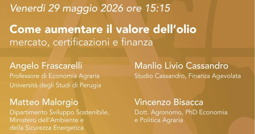 Vasto: Il confronto sul mercato dell’Olio con il seminario AIFO su valore, certificazioni e finanza