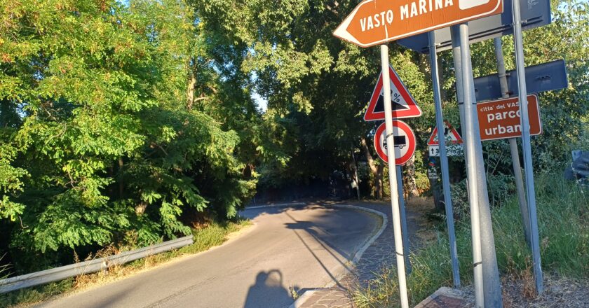 Alcune associazioni sul Parco Trave: “Occasione mancata per la città”
