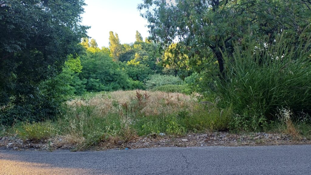 Parco Trave