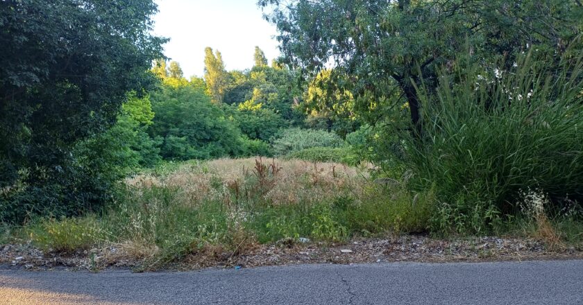 Vasto e il gruppo che gioca alla guerra: “Non incitiamo alla violenza. Vogliamo stare all’aria aperta”