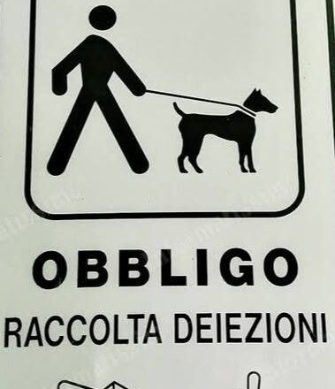 San Salvo, controlli intensificati su deiezioni canine, kit obbligatori e microchip
