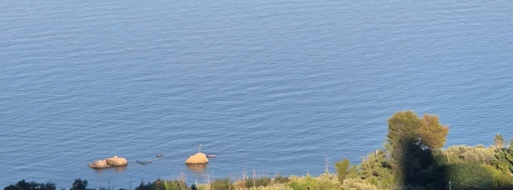 Mare