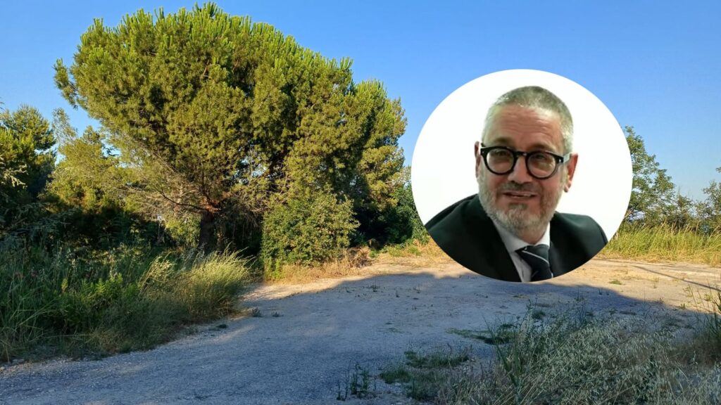 Parco Trave