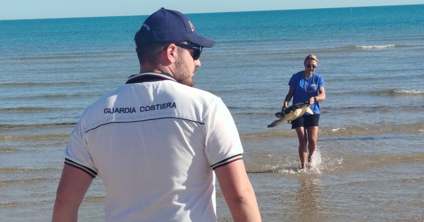 La Guardia Costiera ed il Centro Studi Cetacei salvano la tartaruga “Nicole”
