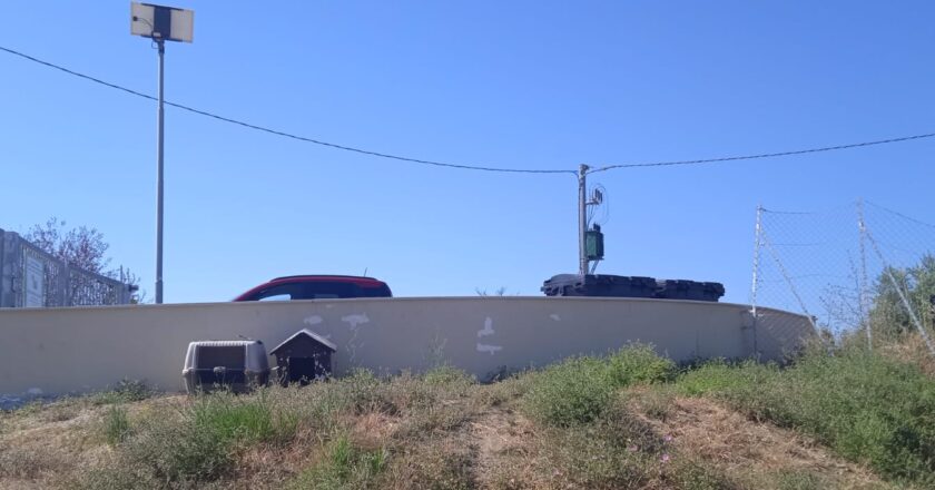 Canile di Vasto, le opposizioni insorgono: “Molte criticità”