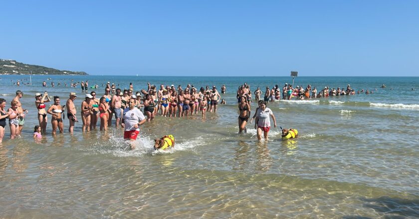 Marina di Vasto, i cani da salvataggio protagonisti di una mattinata dedicata alla sicurezza in mare