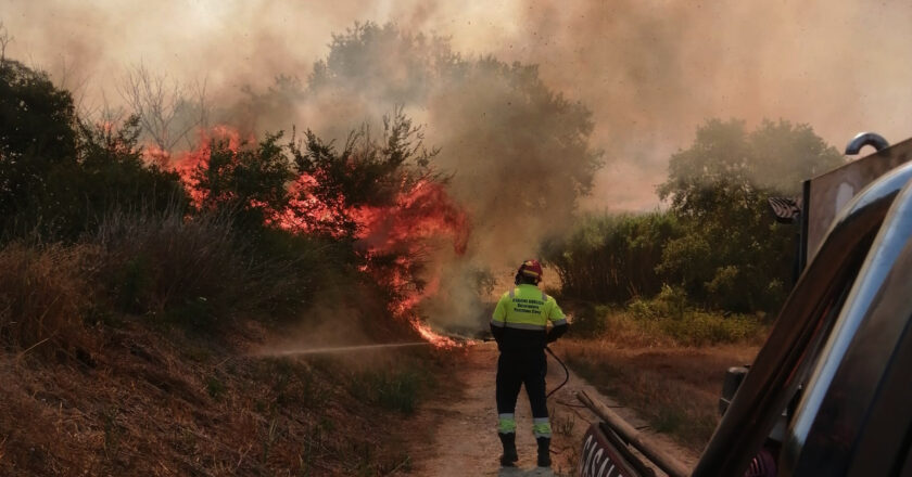 Casalbordino, nuovo incendio a Vidorni: ferito un vigile del fuoco durante le operazioni di spegnimento )