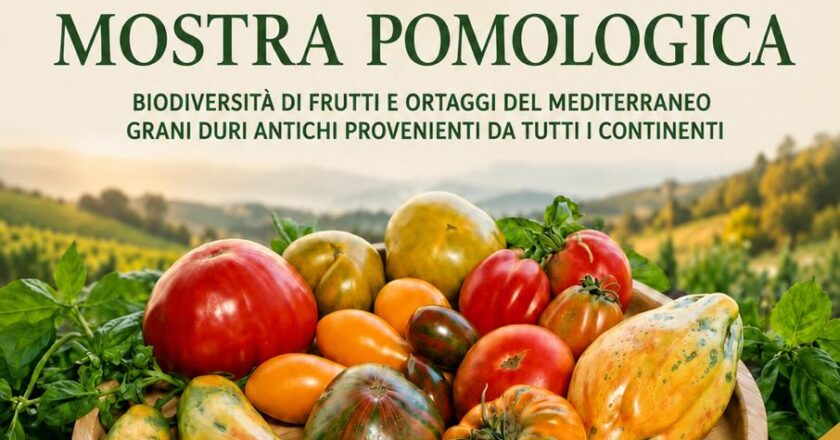 L’Istituto Tecnico Agrario “Cosimo Ridolfi” di Scerni celebra 150 anni di storia: la Mostra Pomologica inaugura un anno di eventi