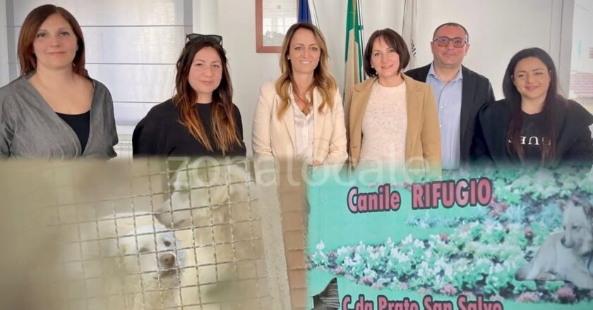 Canile comunale, De Nicolis fa chiarezza: “Oltre 60 cani hanno trovato casa grazie ai volontari”