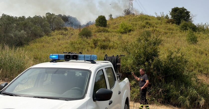 Incendi nel Vastese, ora c’è la grande l’ombra del dolo