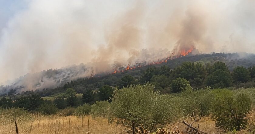Incendi nel chietino e nel pescarese, CIA: «Vicini agli agricoltori colpiti. Attiviamo tutte le nostre sedi per la ricognizione dei danni»