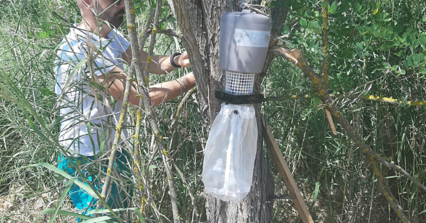 Infezione da West Nile contratta da zanzara autoctona. Primi risultati dell’indagine Asl in provincia di Chieti