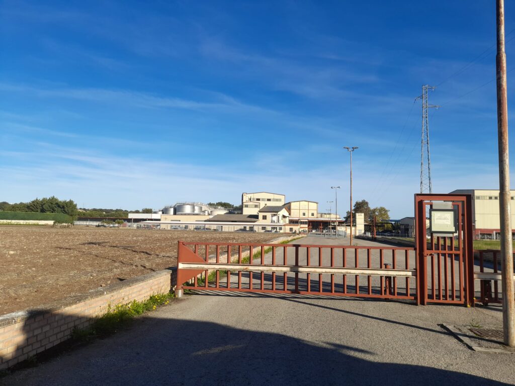Cantina Scerni