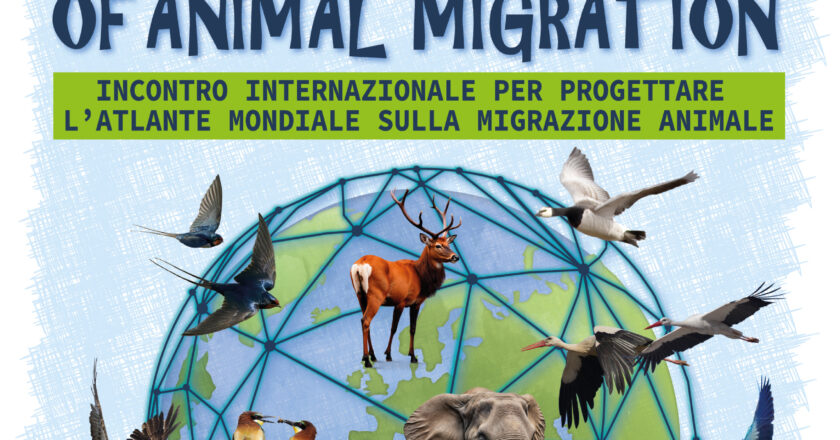 Atlante delle migrazioni animali, a Vasto esperti da tutto il mondo a congresso